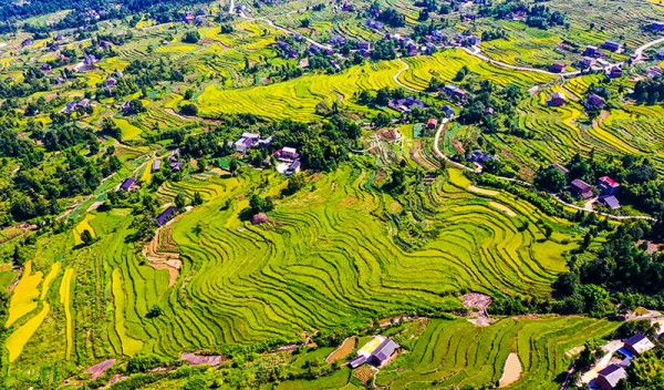 郭扶鎮三塘村梯田。郭扶鎮供圖