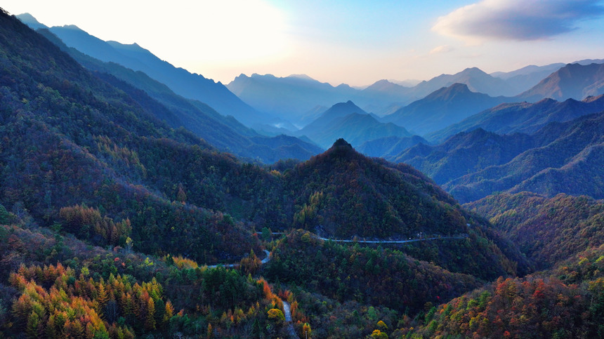 深秋時節，大巴山呈現出層林盡染的秋日美景。李野攝