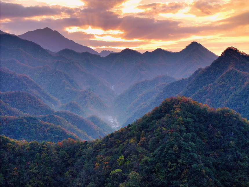 深秋時節，大巴山呈現出層林盡染的秋日美景。李野攝