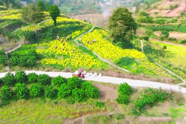 村道硬化。璧山區中醫院供圖