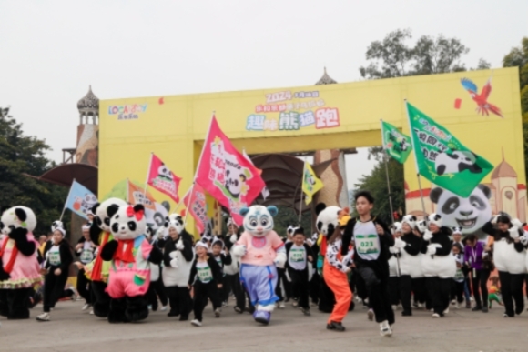 趣味熊貓跑開跑。樂和樂都動物主題樂園供圖