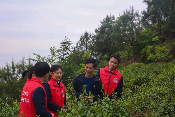 近日，大足區稅務人員到古龍茶山幫助采摘春茶，宣傳稅費優惠政策。蔡茂元攝