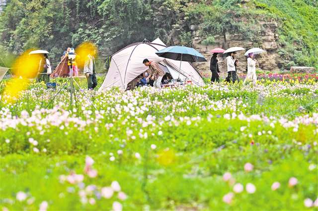 5月2日，南川區三泉鎮萬卷書臺景區，游客在露營游玩。通訊員 羅川 攝/視覺重慶