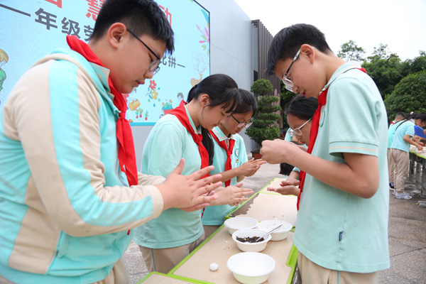 包湯圓。橡樹灣小學供圖