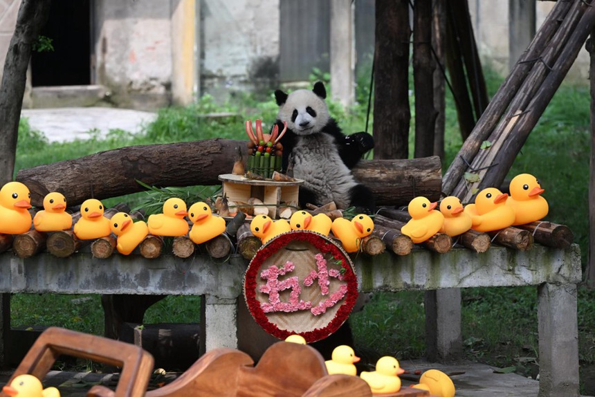 “莽小五”生日派對。主辦方供圖