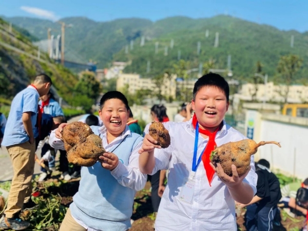 紅薯的前世今生。武隆區鳳溪小學供圖