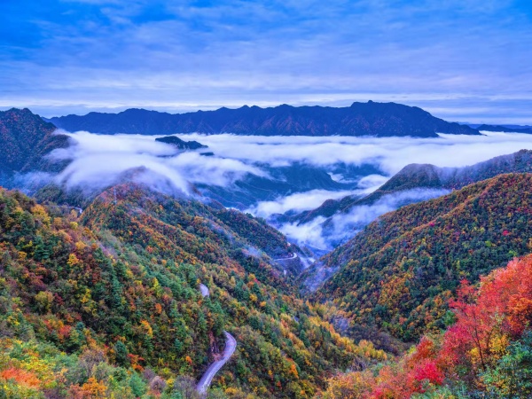 城口大巴山彩葉。城口縣委宣傳部供圖