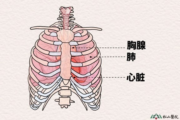 示意圖。重慶松山醫(yī)院供圖