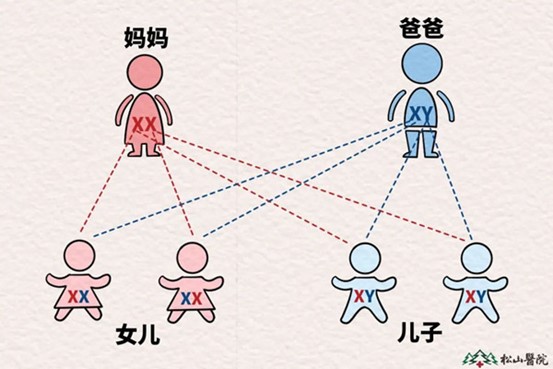 性別示意圖。重慶松山醫院供圖